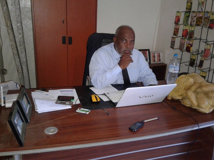 image Agroalimentaire/pomme de terre Ahmed Saadi : « il est possible de ramener le prix à 250fc/kg »